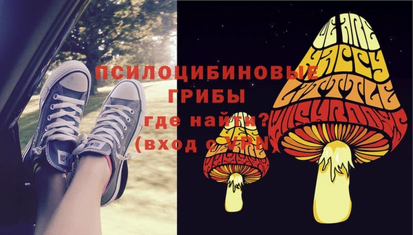 эйфоретик Аркадак